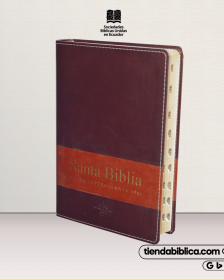 Biblia Reina Valera 1960 Letra gigante 19 ptos