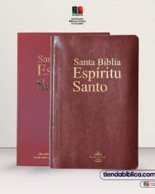 Santa Biblia Espíritu Santo Reina Valera 1960 Piel vino